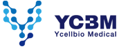 YCELLBIO MEDICAL.