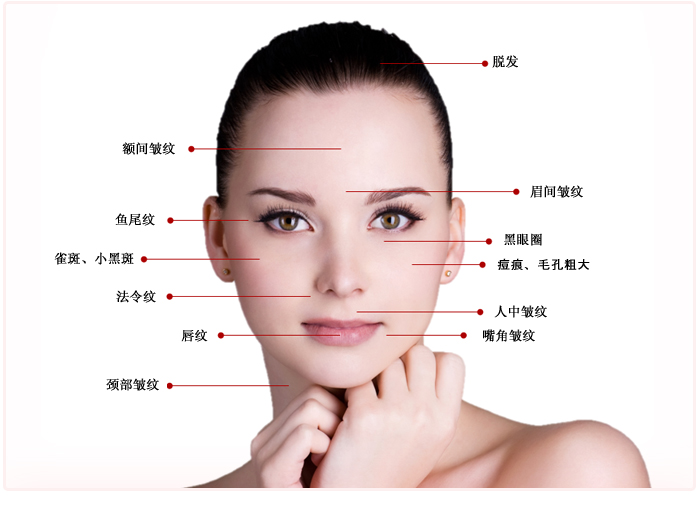 脱发, 额间皱纹, 鱼尾纹, 雀斑、小黑斑, 法令纹, 唇纹, 颈部皱纹, 眉间皱纹, 黑眼圈, 痘痕、毛孔粗大, 人中皱纹, 嘴角皱纹