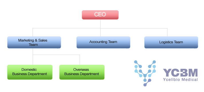 Marketing & Sales Team, Accounting Team, Logistics Team, Domestic Business Department, Overseas Business Department