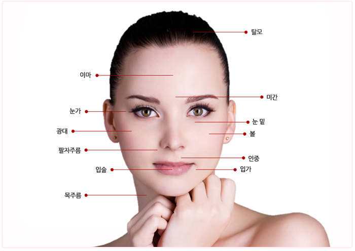 �̸�, Ż��, ����, �̰�, ����, ����, ��, �����ָ�, ����, �Լ�, �԰�, �� �ָ�