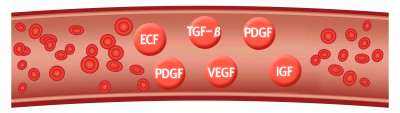 Role of Platelet